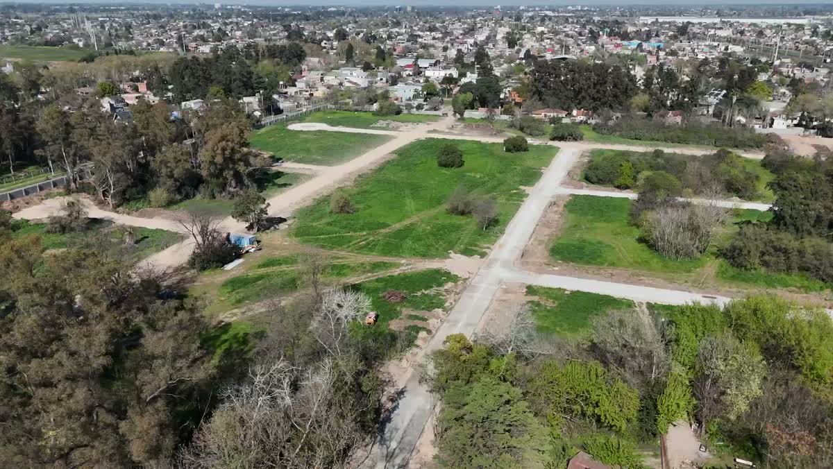 Vista aérea del sector de lotes con sus calles trazadas y árboles